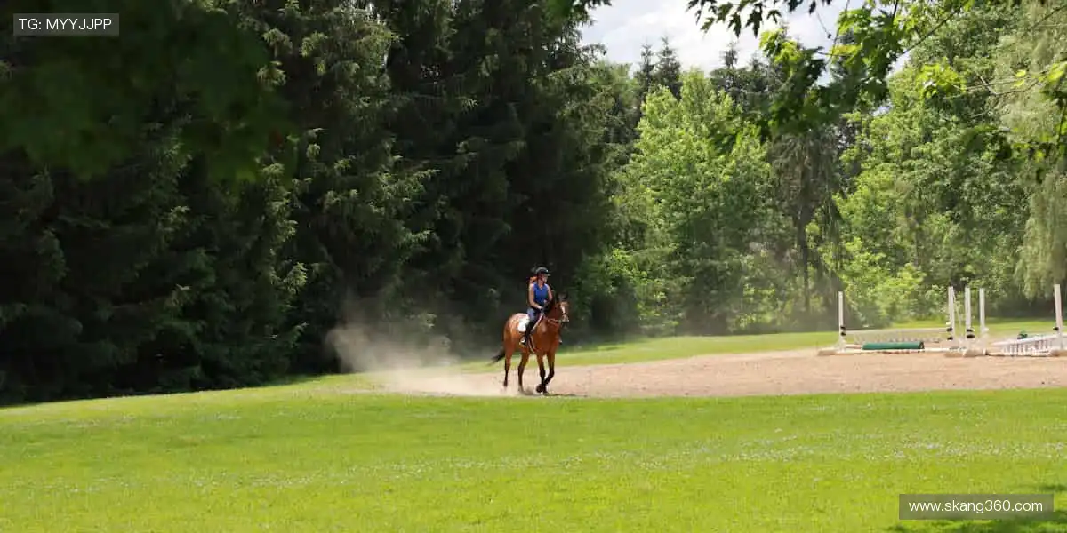赛场瞬息万变，直播分秒必争！🏀
